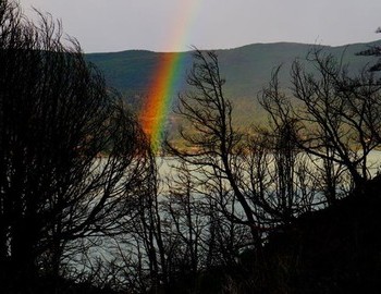 Rainbow over lake Grey