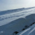 Зимна Витоша - от Железница до Черни връх през Академика